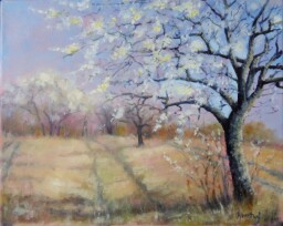 Jarní cestou  40 x 50